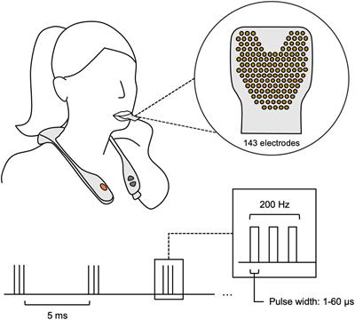 Real world evidence of improved attention and cognition during physical therapy paired with neuromodulation: a brain vital signs study